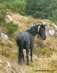 image008.jpg
